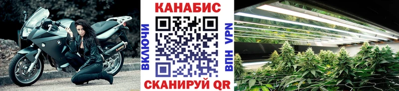 где продают   Магас  Бошки марихуана THC 21% 